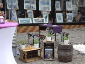 Pferdemarkt3.JPG